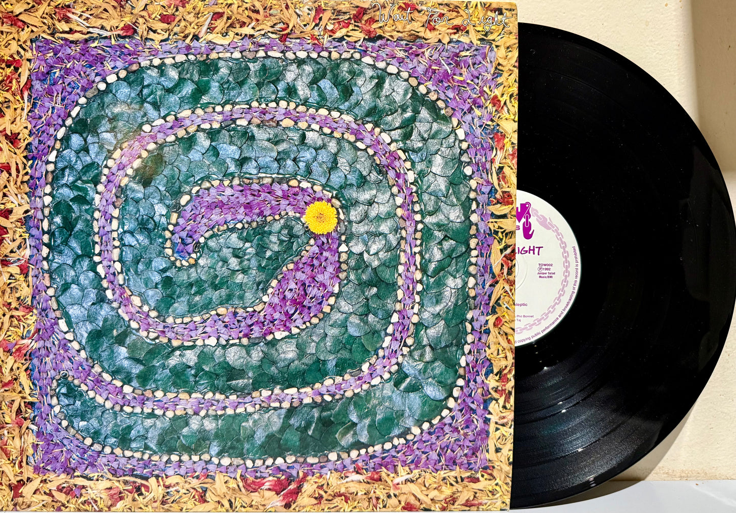 Wait For Light 12 inch vinyl record